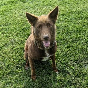 Meet your Posher, Taylor